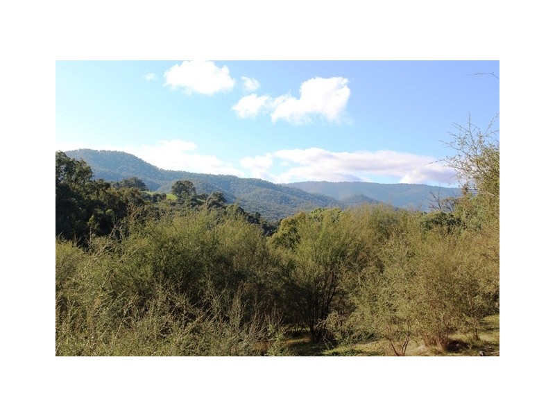 Lot 8 Ti Tree Drive, Eildon VIC 3713