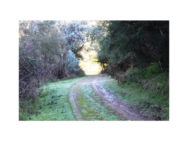Lot 8 Ti Tree Drive, Eildon VIC 3713