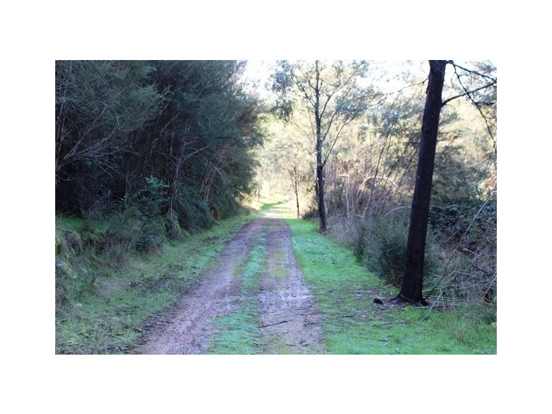 Lot 8 Ti Tree Drive, Eildon VIC 3713