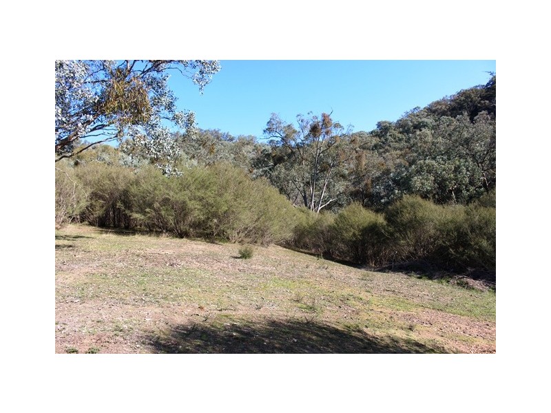 Lot 8 Ti Tree Drive, Eildon VIC 3713