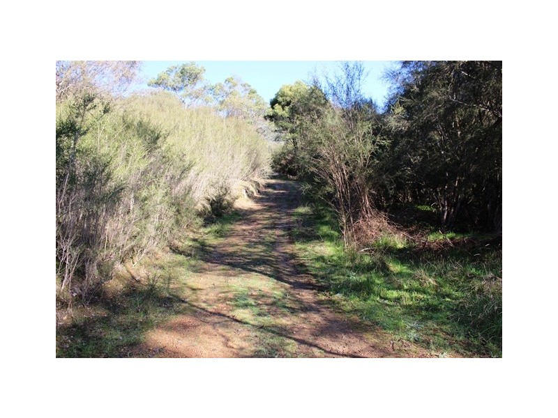 Lot 8 Ti Tree Drive, Eildon VIC 3713