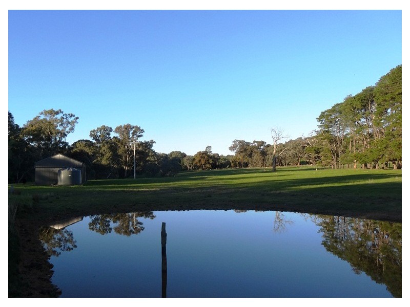 Mansfield VIC 3722