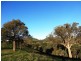 Mansfield VIC 3722