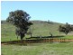 Mansfield VIC 3722
