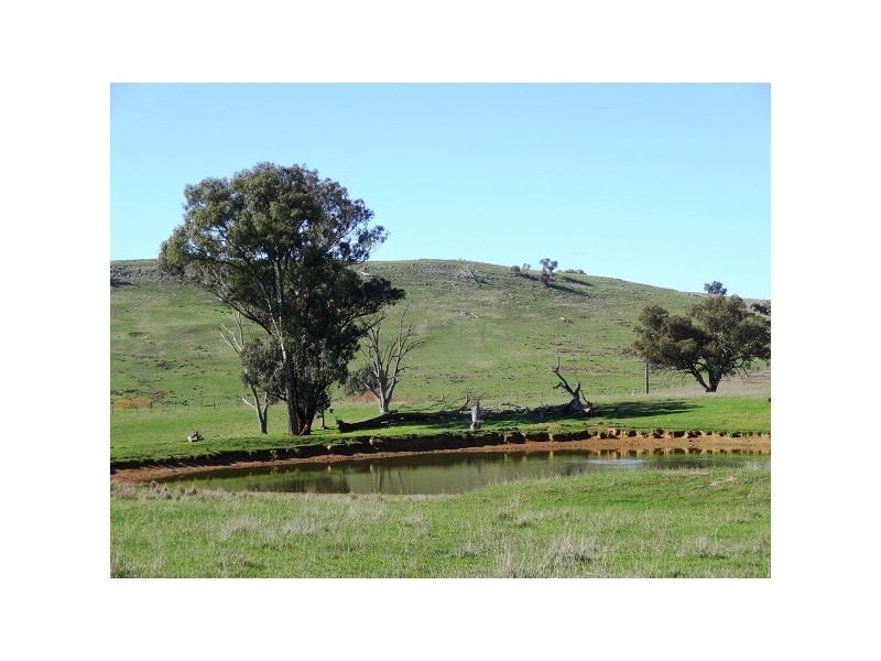 Mansfield VIC 3722
