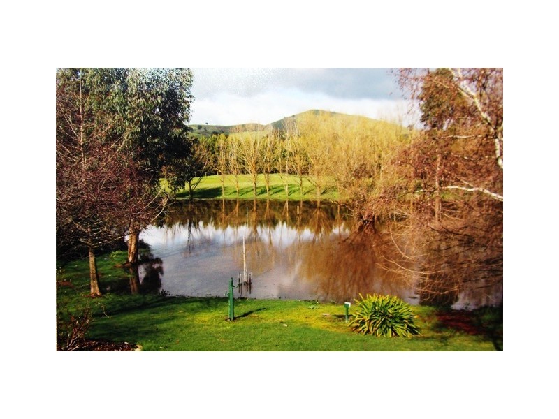 -405 UT Creek Rd, Alexandra VIC 3714