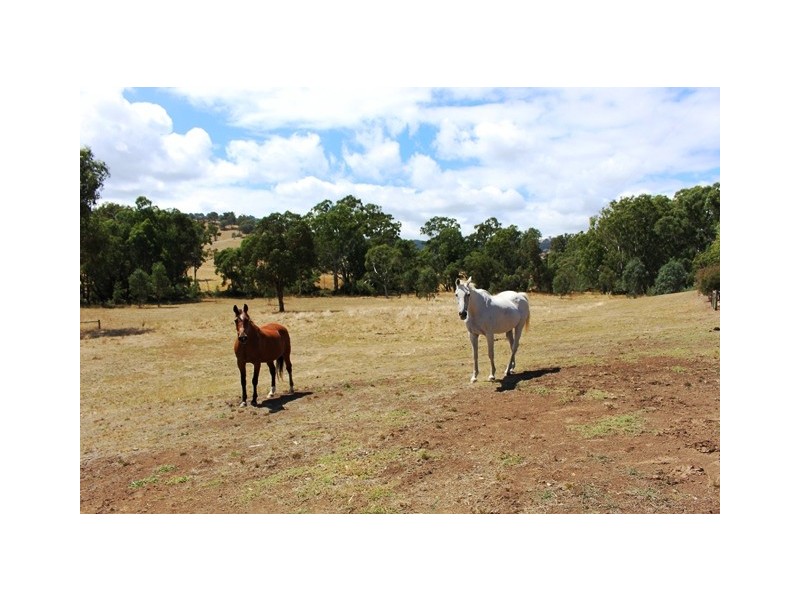 -405 UT Creek Rd, Alexandra VIC 3714