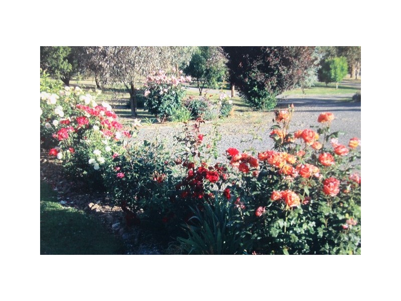 -405 UT Creek Rd, Alexandra VIC 3714