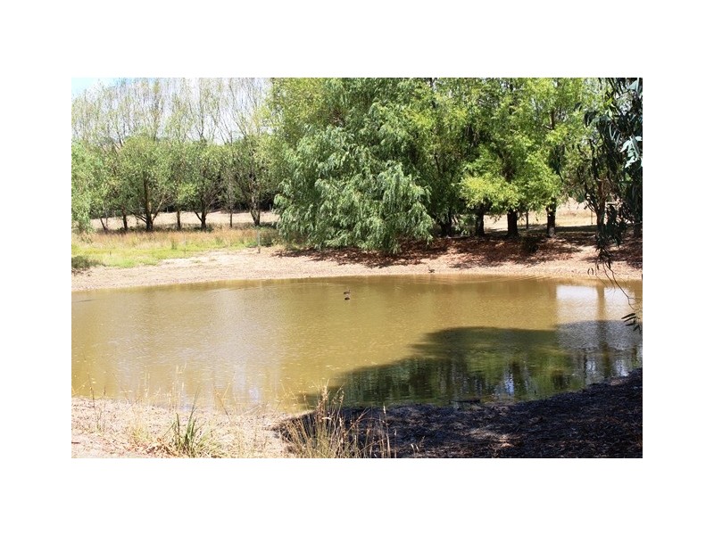 -405 UT Creek Rd, Alexandra VIC 3714