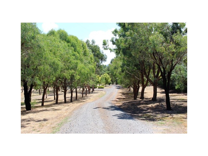 -405 UT Creek Rd, Alexandra VIC 3714