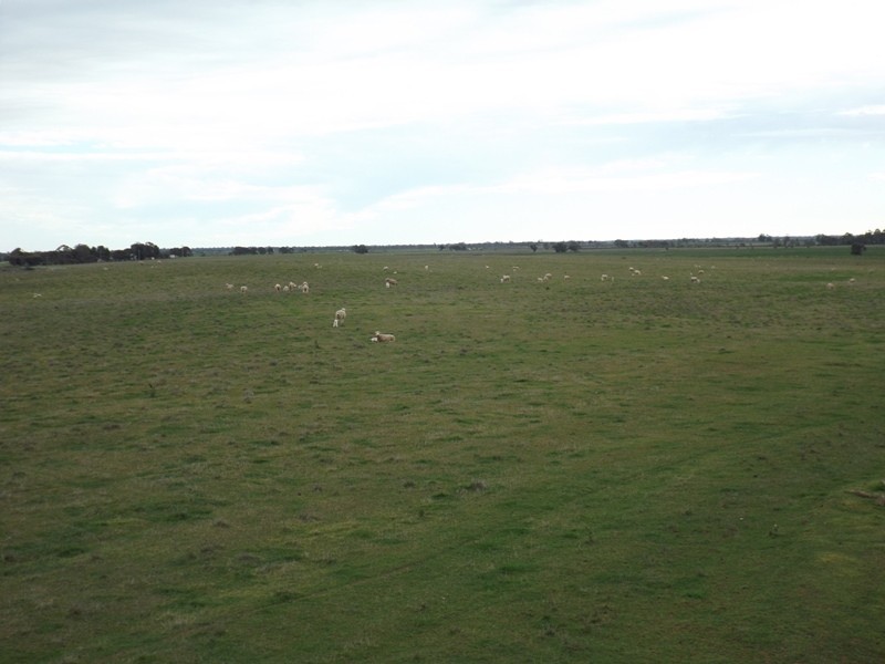 15 Myall Road, Westby VIC 3579