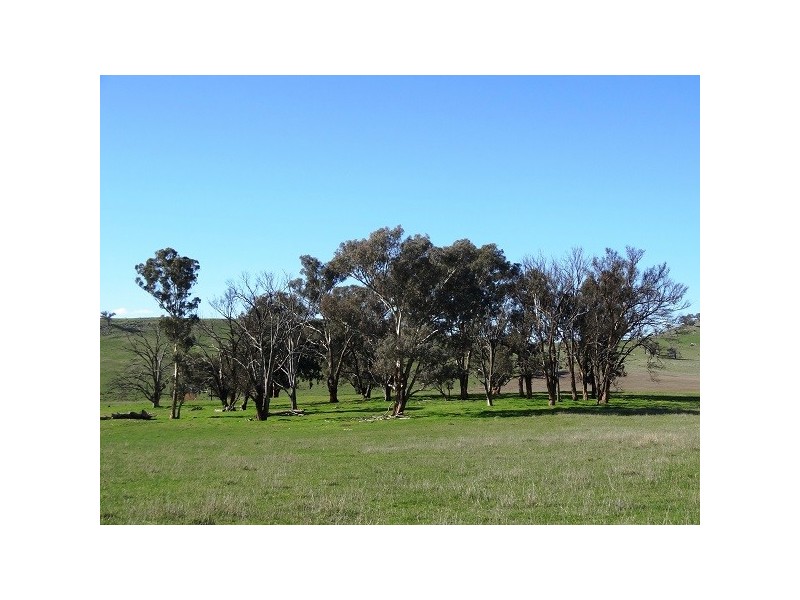 Mansfield VIC 3722