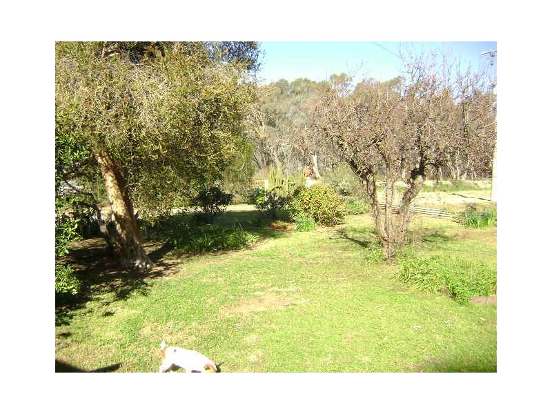 156 Lower Loddon Road, Kerang VIC 3579