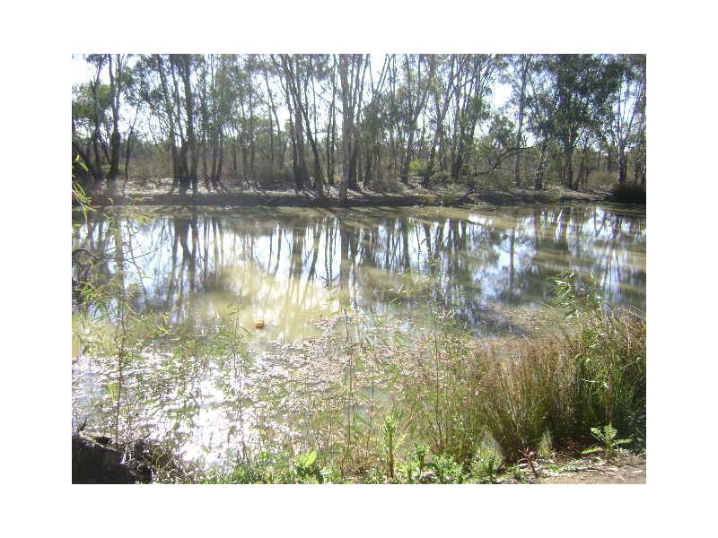 156 Lower Loddon Road, Kerang VIC 3579