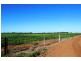 5083 Murray Valley Highway, Swan Hill VIC 3585
