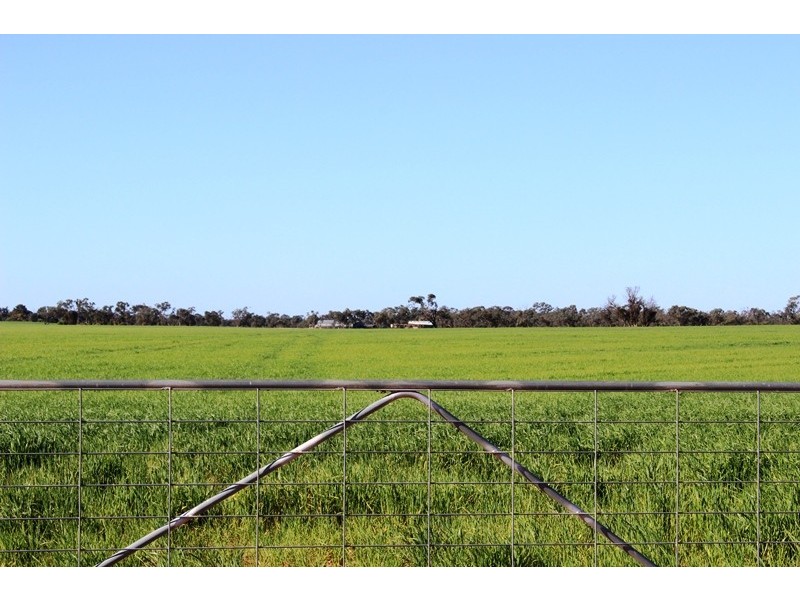 5083 Murray Valley Highway, Swan Hill VIC 3585