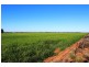 5083 Murray Valley Highway, Swan Hill VIC 3585