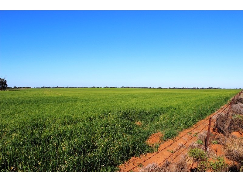 5083 Murray Valley Highway, Swan Hill VIC 3585