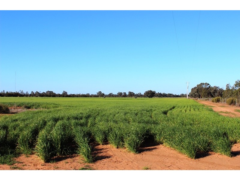 5083 Murray Valley Highway, Swan Hill VIC 3585