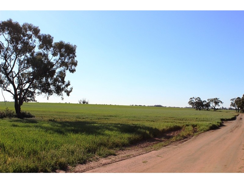 5083 Murray Valley Highway, Swan Hill VIC 3585