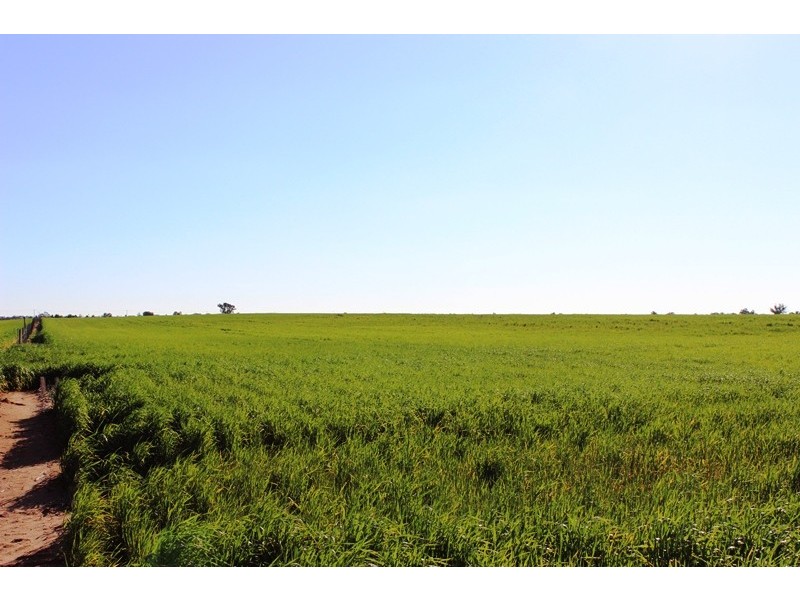 5083 Murray Valley Highway, Swan Hill VIC 3585