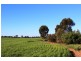 5083 Murray Valley Highway, Swan Hill VIC 3585