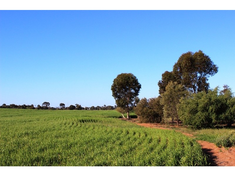 5083 Murray Valley Highway, Swan Hill VIC 3585