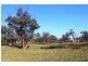 5083 Murray Valley Highway, Swan Hill VIC 3585