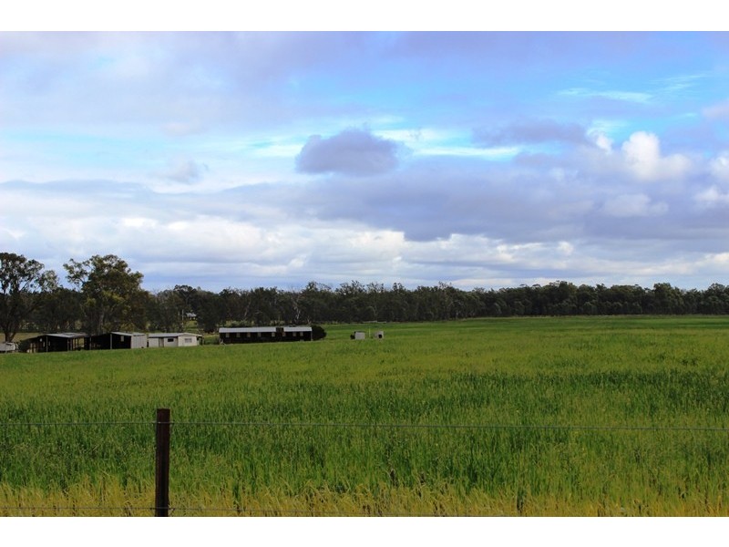 0 Koraleigh Road, Tooleybuc NSW 2736