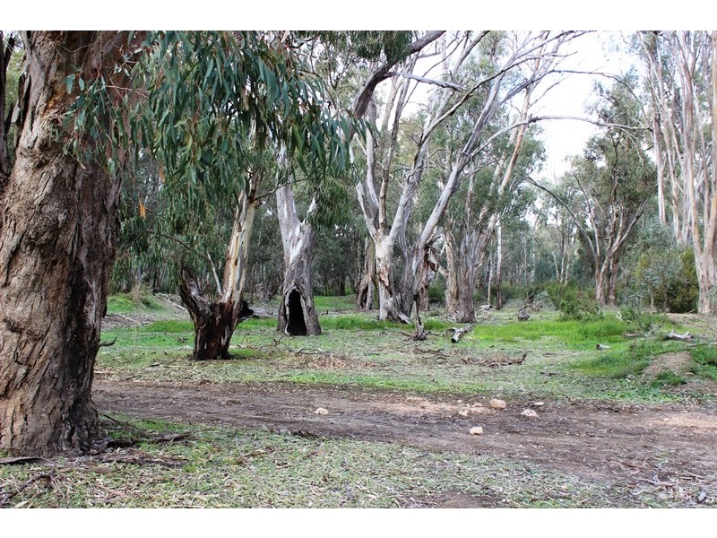 0 Koraleigh Road, Tooleybuc NSW 2736