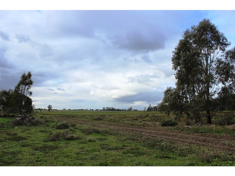 0 Koraleigh Road, Tooleybuc NSW 2736