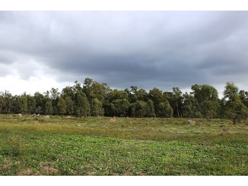 0 Koraleigh Road, Tooleybuc NSW 2736