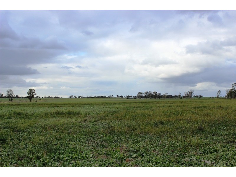 0 Koraleigh Road, Tooleybuc NSW 2736