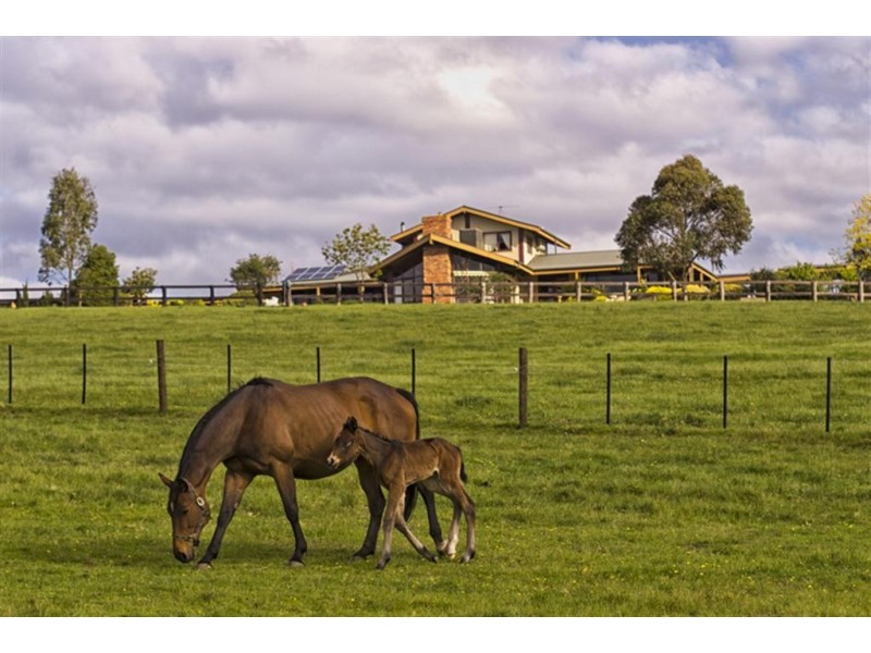 Arthurs Creek VIC 3099