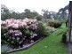 Upper Plenty VIC 3756