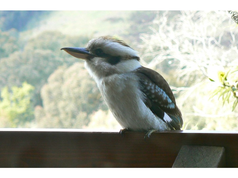 Upper Plenty VIC 3756