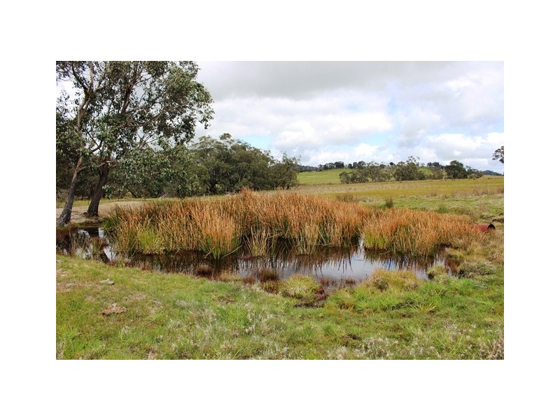 7 Hill Close, Ruffy VIC 3666