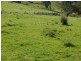 436 Watchbox Creek Rd, Molyullah VIC 3673