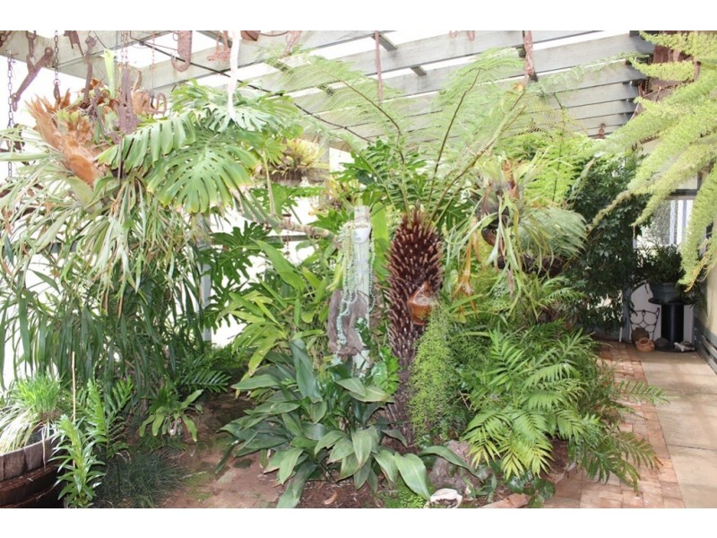 16 Woolstons Lane, Swan Hill VIC 3585