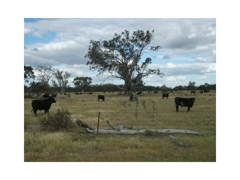 Barham NSW 2732