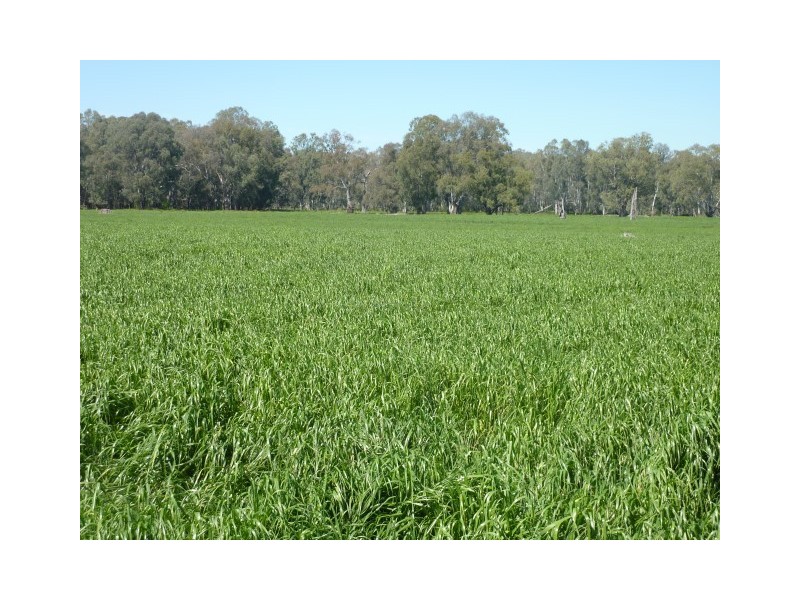 650 Oxley Flats Road, Oxley Flats VIC 3678