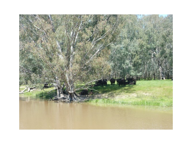 650 Oxley Flats Road, Oxley Flats VIC 3678