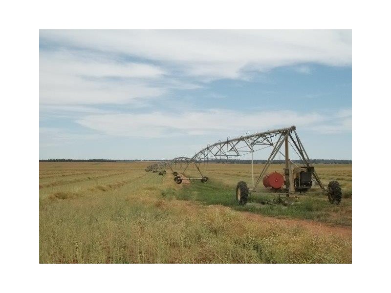 00 Sturt Highway, Euston NSW 2737