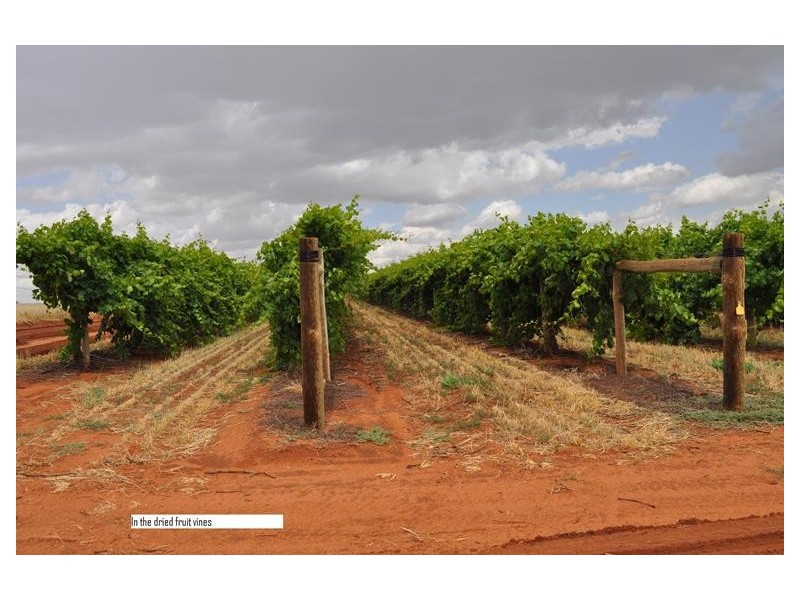 00 Sturt Highway, Euston NSW 2737