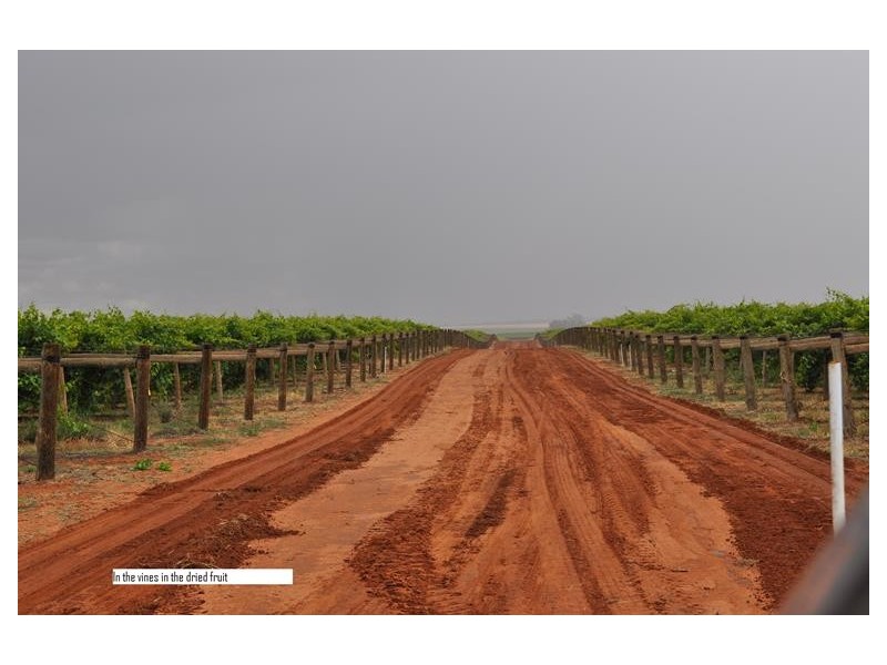 00 Sturt Highway, Euston NSW 2737