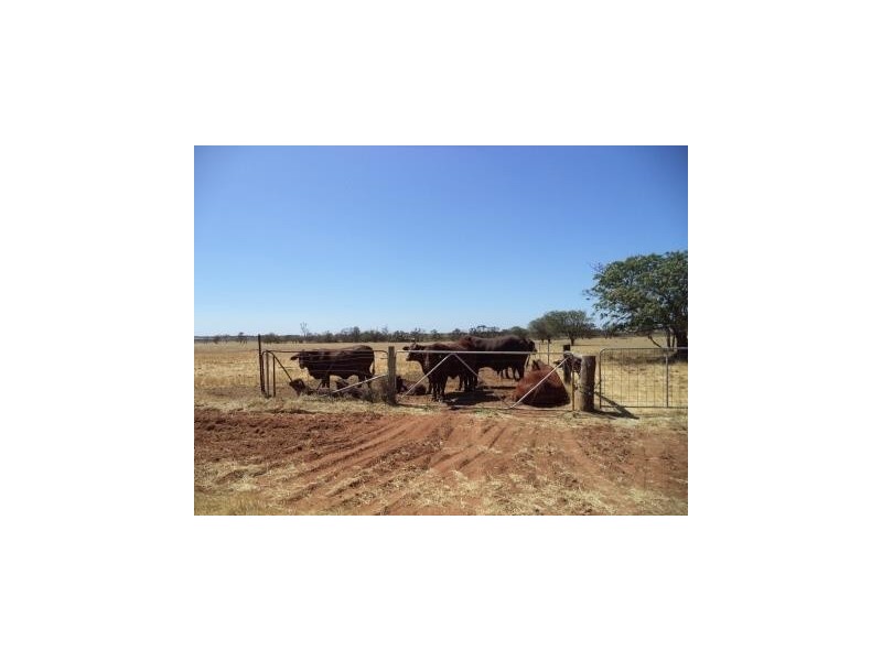 00 Kangaroo Lake Road, Lake Charm VIC 3581