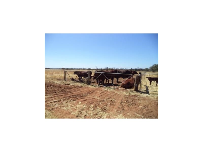 00 Kangaroo Lake Road, Lake Charm VIC 3581