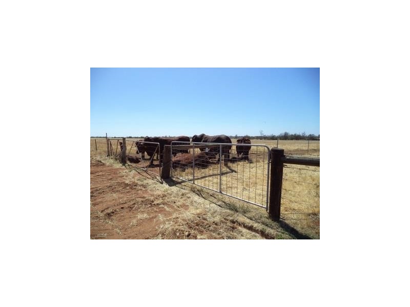 00 Kangaroo Lake Road, Lake Charm VIC 3581