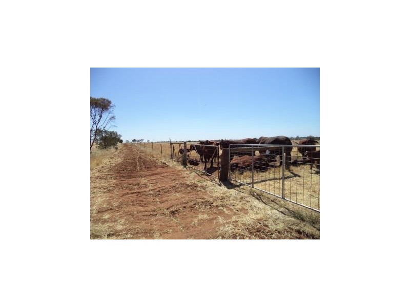 00 Kangaroo Lake Road, Lake Charm VIC 3581