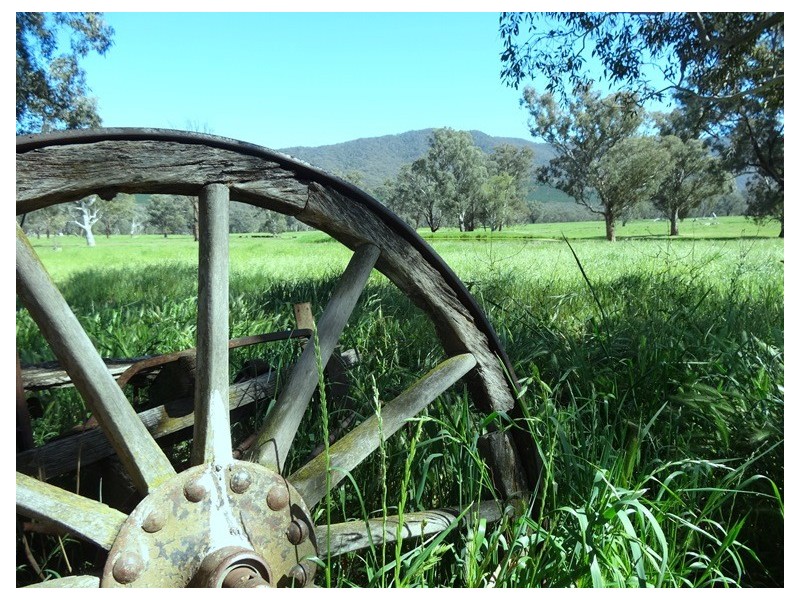 Bridge Creek VIC 3723